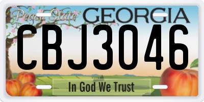 GA license plate CBJ3046