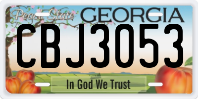GA license plate CBJ3053