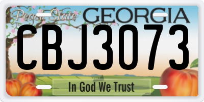GA license plate CBJ3073