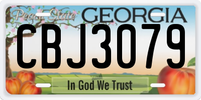 GA license plate CBJ3079