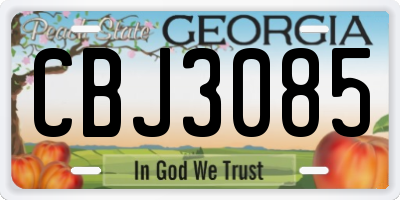 GA license plate CBJ3085