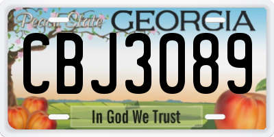 GA license plate CBJ3089