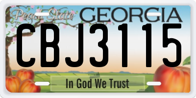 GA license plate CBJ3115