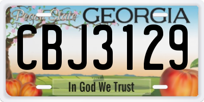 GA license plate CBJ3129