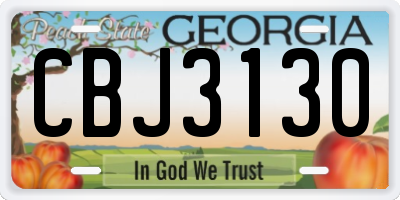GA license plate CBJ3130