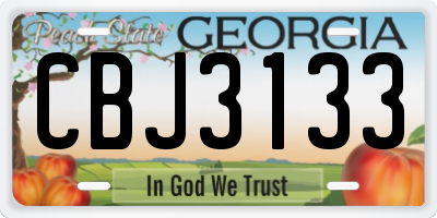 GA license plate CBJ3133