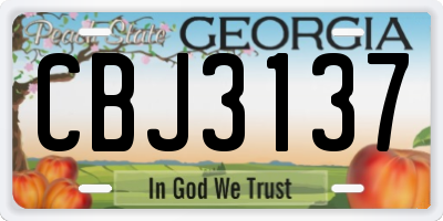 GA license plate CBJ3137