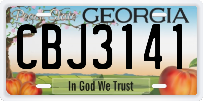 GA license plate CBJ3141
