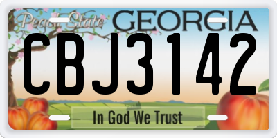 GA license plate CBJ3142