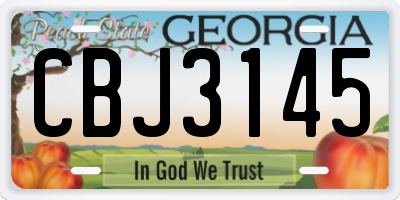 GA license plate CBJ3145