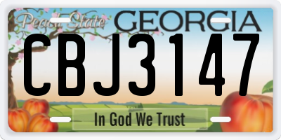 GA license plate CBJ3147