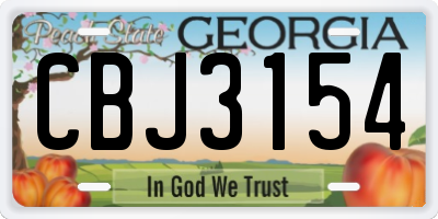 GA license plate CBJ3154
