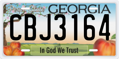 GA license plate CBJ3164