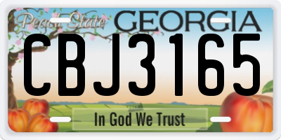 GA license plate CBJ3165