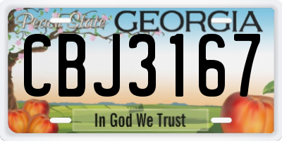 GA license plate CBJ3167