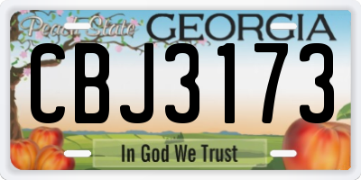 GA license plate CBJ3173