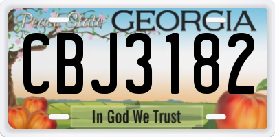 GA license plate CBJ3182