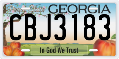 GA license plate CBJ3183