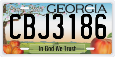GA license plate CBJ3186