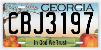 GA license plate CBJ3197