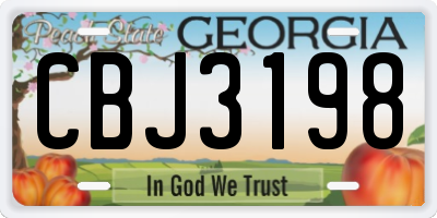 GA license plate CBJ3198