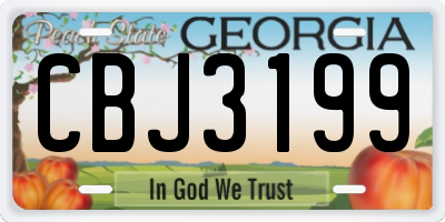 GA license plate CBJ3199