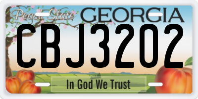 GA license plate CBJ3202
