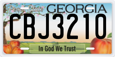 GA license plate CBJ3210