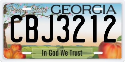 GA license plate CBJ3212
