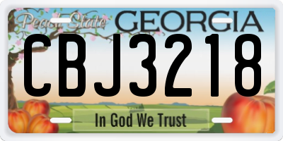 GA license plate CBJ3218