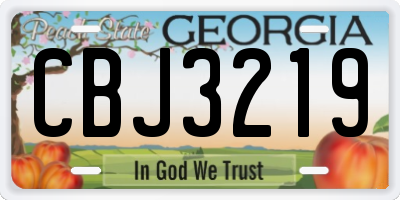 GA license plate CBJ3219