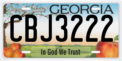 GA license plate CBJ3222