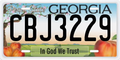 GA license plate CBJ3229