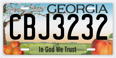 GA license plate CBJ3232
