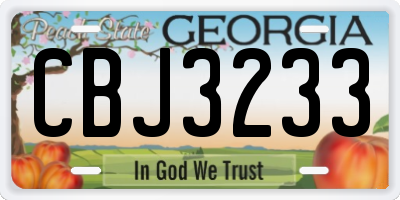 GA license plate CBJ3233