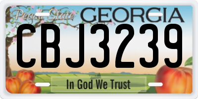 GA license plate CBJ3239