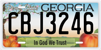 GA license plate CBJ3246