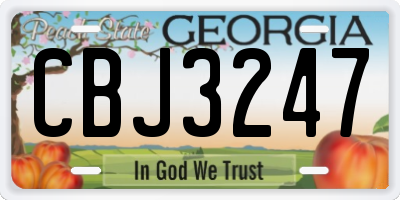 GA license plate CBJ3247