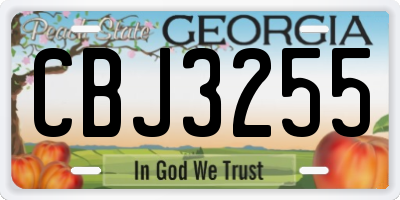 GA license plate CBJ3255