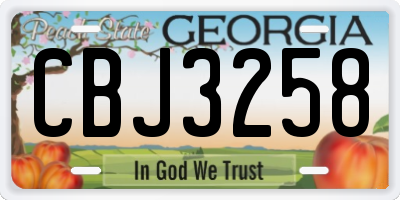 GA license plate CBJ3258