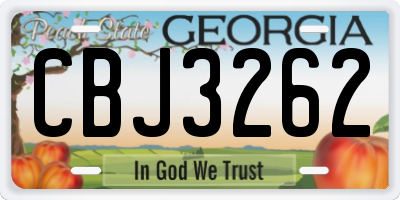 GA license plate CBJ3262