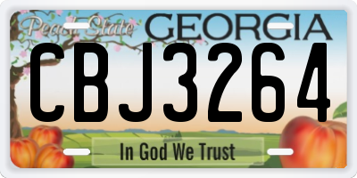 GA license plate CBJ3264