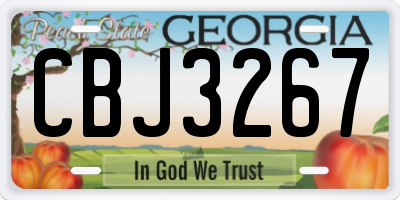GA license plate CBJ3267