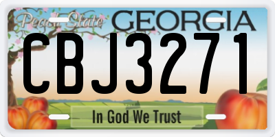 GA license plate CBJ3271
