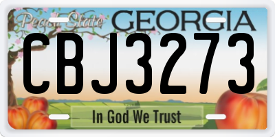 GA license plate CBJ3273