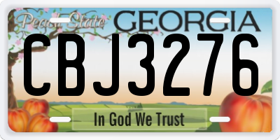 GA license plate CBJ3276
