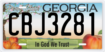 GA license plate CBJ3281
