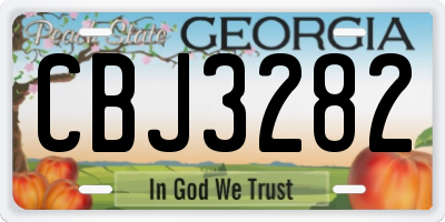 GA license plate CBJ3282