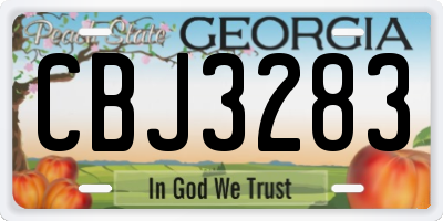 GA license plate CBJ3283