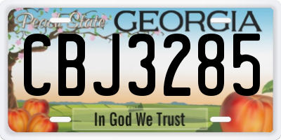 GA license plate CBJ3285